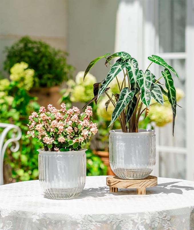 Melphoe Self Watering Pots for Indoor Plants Planter, 5.3 Inch 2 Pack Planters Self Watering Plant Pots for Flower, Houseplants, Succulent, African Violets and Cactus with Drainage Melphoe