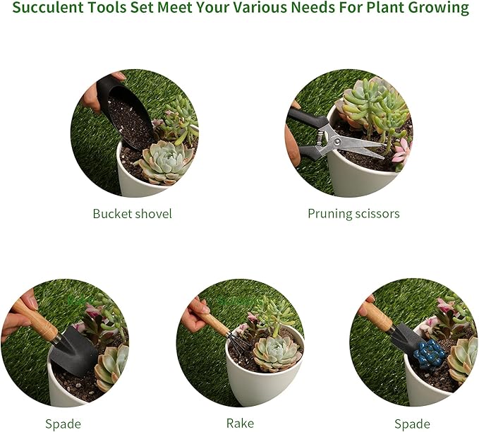 5Pcs Succulent Tools,Mini Garden Tools,Pruning Scissors as Plant Accessories, Gardending Hand Tools Kit for Seedling Soil,Caring Succulent,Houseplent,Bonsi,Gifts for Woman and Man Songtaste