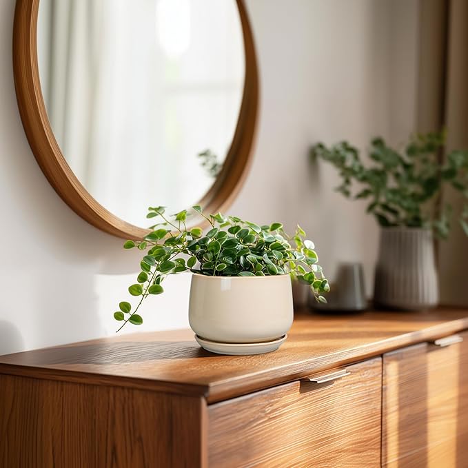 G EPGardening 4 inch Plant Pots - Ceramic Planter with Drainage Hole & Saucer, Small Plant Pots for Indoor Outdoor, Round Succulent Pot, Modern Decorative Flower Pot, Desk Decor, Garden Gifts, Beige GEPGardening