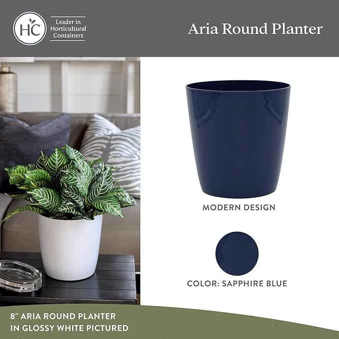 The HC Companies Aria Round Self-Watering Pot - Lightweight Plastic Planter for Herbs & More - Durable Plant Pots for Indoor Plants & Outdoor Plants (6" Sapphire Blue, Pack of 2) TheHCCompanies