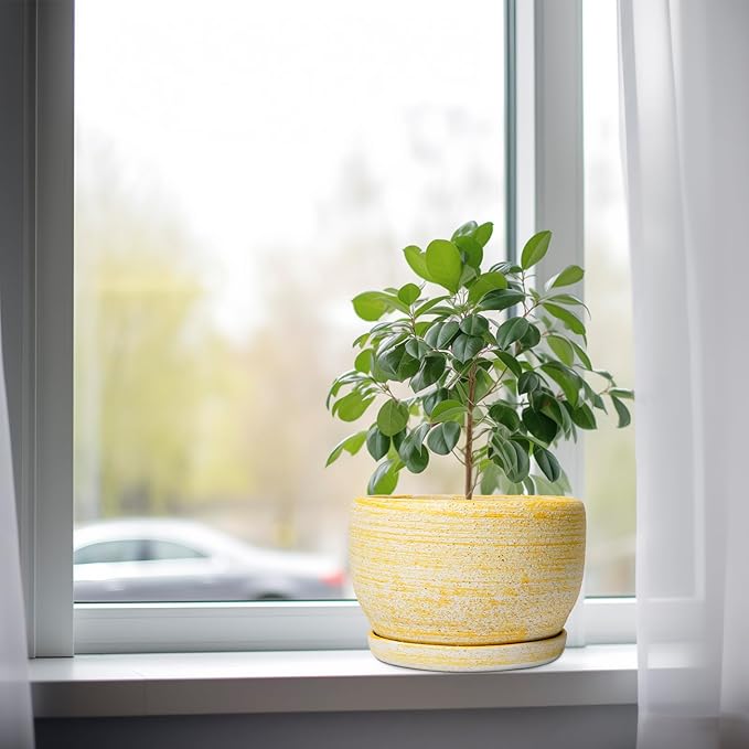 SQOWL Ceramic Flower Pots - 8 inch Plant Pot Indoor with Drainage Hole and Saucer, Modern Ceramic Planter Outdoor, Round Decorative Planter, Living Room Home Decor, Gifts for Plant Lovers, Yellow SQOWL