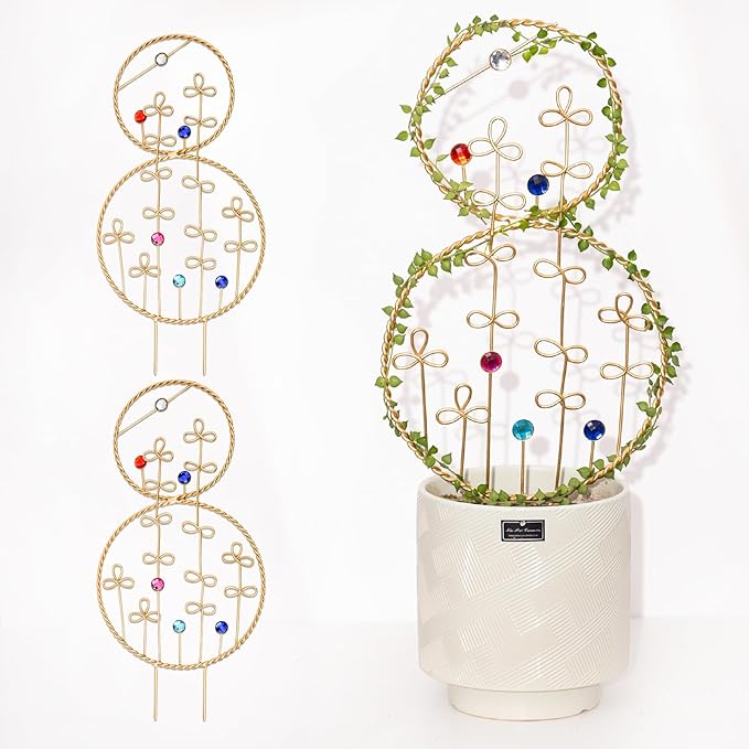 2PCS Hoya Trellis Plant Support Indoor Metal Frame Unique Trellis for Climbing Plants Potted Hoya Pots Small Houseplant Vine Support for Plant Lovers Home Decor Goooxim