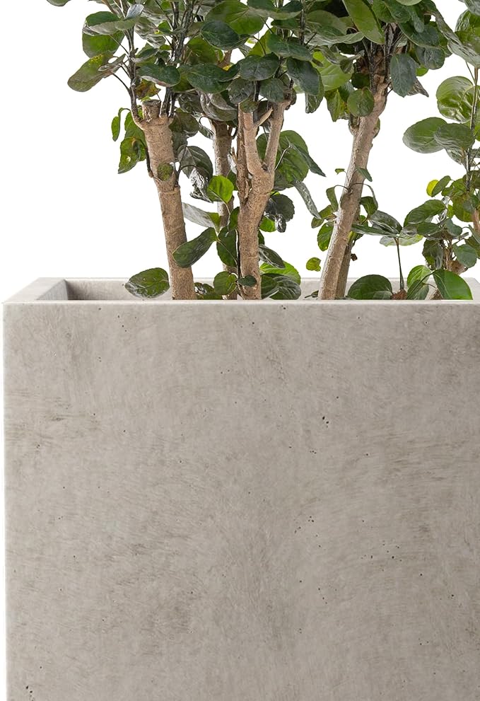 Kante 15.7" H Tall Rectangular Concrete Planters, Outdoor Indoor Lightweight Plant Pots with Drainage Hole and Rubber Plug, Modern Style for Home Garden Patio, Weathered Concrete Kante