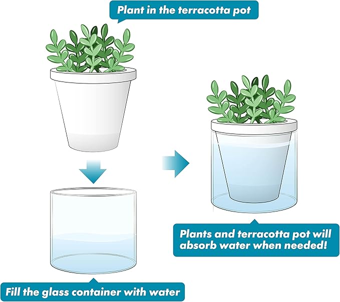 D'vine Dev 4 Inch Design Self Watering Planter for Indoor Plants, White Terracotta Pots with Cylinder Glass Cup, Set of 3, 37-Z-A-2-T DvineDevPlanterPotsandStand