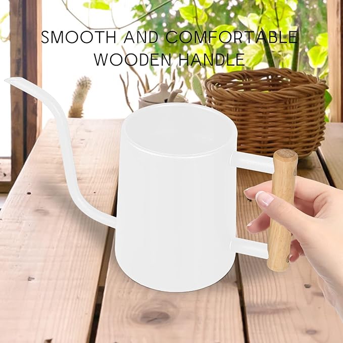 Watering Can Indoor Plants, 35 oz/1000 ml Metal Stainless Steel Watering Can Pot with Long Spout for Indoor House Plants Bonsai Outdoor Garden Flower Decorative (White) Rootora