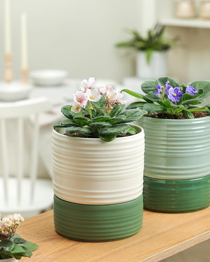 Self Watering Pots for Indoor Plants, 6 Inch Ceramic Self Watering Plant Pot, Planter Pot with Wick Rope and Drainage Hole for African Violet Succulent Herbs (White Matte) FayoulasGarden