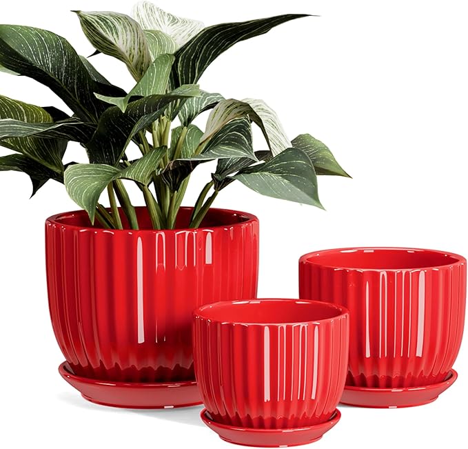 Ton Sin Ceramic Plant Pots - 4/5/6 Inch Red Planters Set of 3 with Drainage Holes and Saucer - Indoor Flower Pots for Plants Ceramic Planters for Indoor Gardening Succulent Pots TonSin