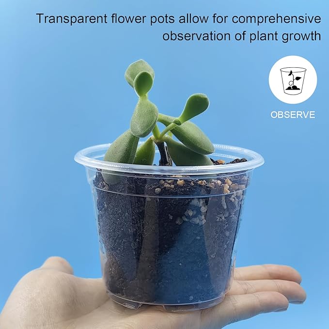 100 Pack 2.8 Inches Clear Plant Pots with Drainage Holes, Transparent Seeding Nursey pots, Round Plastic pots for Seeds Starter, Seeds Germination RooTrimmer