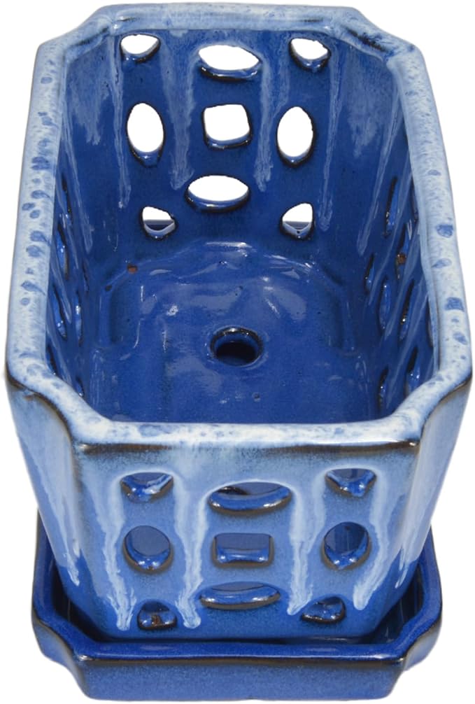 W&W Orchid Pot with Holes and Saucer for Repotting, White and Blue, 9.7 Inch WWHomeDecor