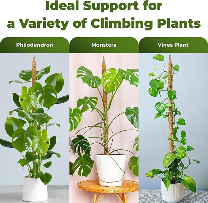 48 Inch Bendable Moss Pole Monstera Plant Support for Climbing Indoor Plants - Stakes for Potted Climbers - Tall Sticks Indoor Trellis for Houseplants - Accessories for Monstera Pot Sproot