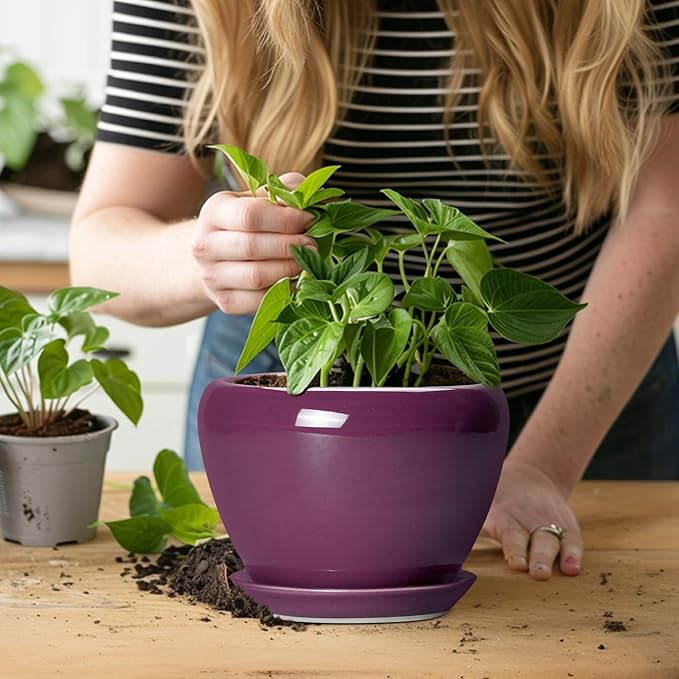 Ceramic Pots for Plants 6 Inch - Ceramic Plant Pots with Drainage Hole and Saucer, Glaze Round Planter for Succulent Plants, Gifts for Plant Lovers, Garden Home Decor, Purple Ceramicfor