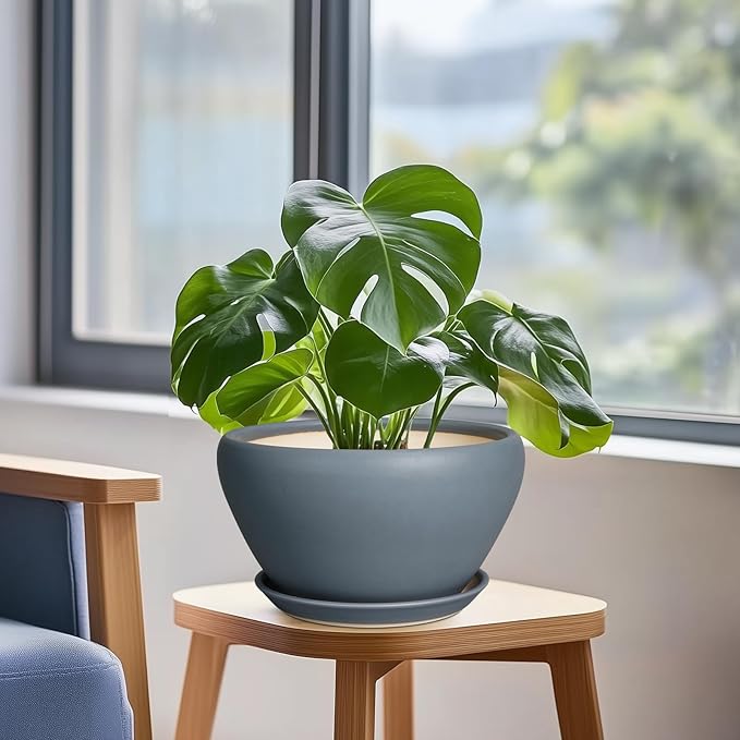 Ceramic Pots for Plants - 9 Inch Planter for Outdoor Plants Large Plant Pot Indoor with Drainage Hole and Saucer Decorative Modern Flower Pot for Home Garden Decor Gray Ceramicfor