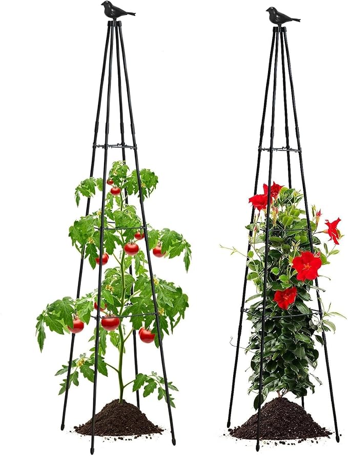 Cucumber Trellis, 67" Tall Obelisk Garden Trellis for Climbing Plants Outdoor Plastic-Coated Metal Support for Flower Vine Vegetable Tomato Cage Cucumebr Trellis Raised Bed, Black, 2 Pack follook