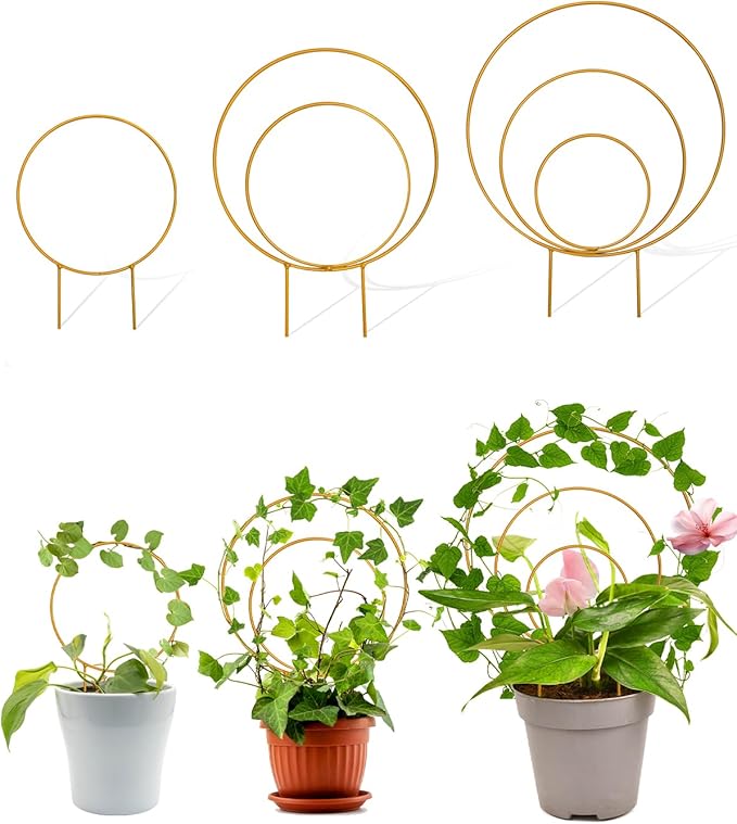 Unique Round Hoya Trellis, 3 Pcs Different Small Houseplant Trellis for Indoor Climbing Plant, Garden Trellis Plant Support for Potted Ivy and Flowers Outdoor(Gold) Rootora