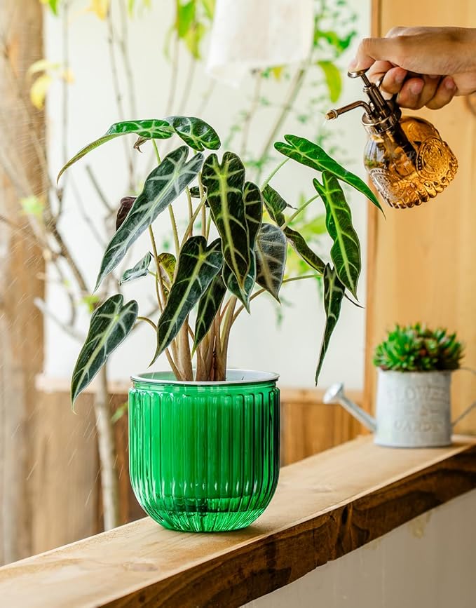 Melphoe Self Watering Pots for Indoor Plants Planter, 8.3/5.3 Inch 2 Pack Planters Self Watering Plant Pots for Flower, Houseplants, Succulent, African Violets and Cactus with Drainage Melphoe