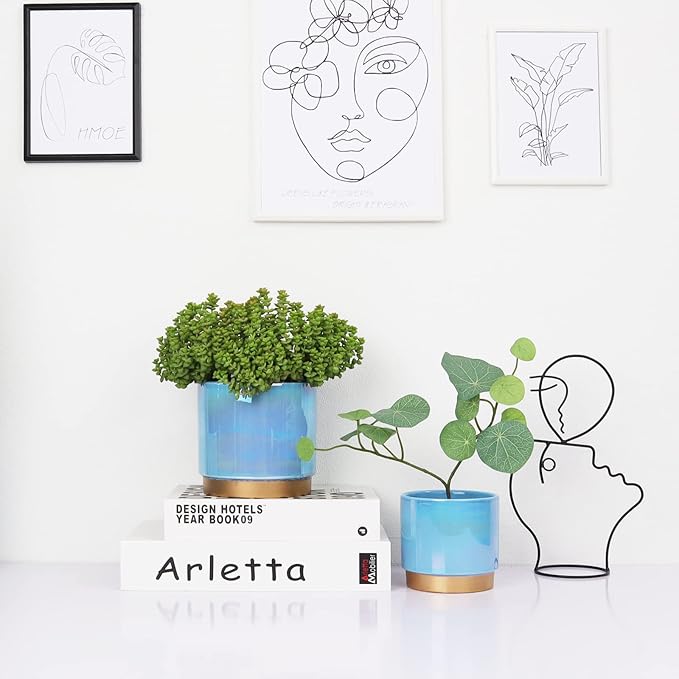 Gepege Ceramic Pots for Plants, Rainbow Pearl Glaze Planter with Drainage Hole, 6.0 inch+5.0 Inch+4.0 Inch. Indoor-Outdoor Large Round Succulent Orchid Flower Pot Gepege