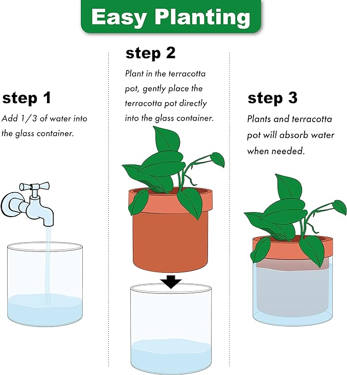 Phoenix Vine 6 Inch Self Watering Planter Pot, Terracotta Clay Pot with Glass Reservoir for Indoor Plants, Herbs, Flowers, Set of 2, 52-A-F-2 Phoenix+Vine