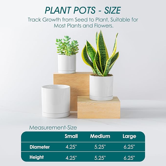 vancasso Ceramic Plant Pots, 3 Piece Planters for Indoor Plants, 4.25+5.25+6.25 Inch Flower Pots with Drainage, Plant Pots Indoor for Succulent, Pothos, Snake Plant and Money Tree, Etc (White) vancasso