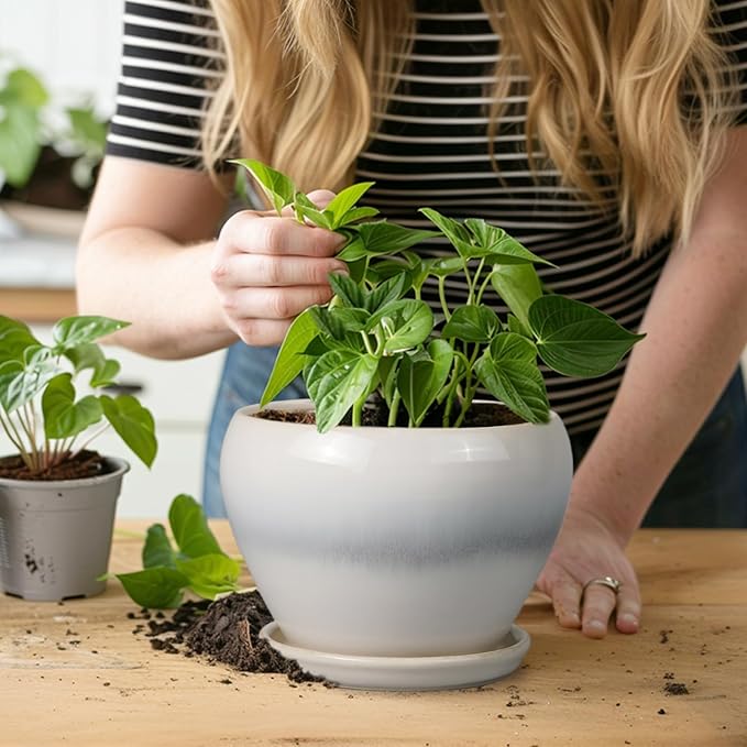 Planter Pot 6 Inch - Ceramic Plant Pot with Drainage Hole and Saucer, Round Glaze Succulent Pot for Plants, White Ceramicfor