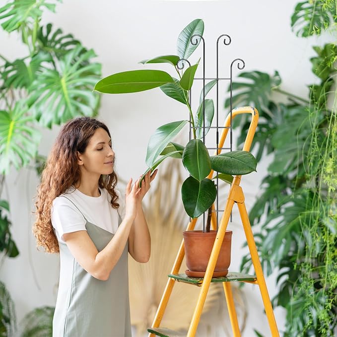 Coomin 32.6in Monstera Plant Support Stakes for Outdoor Plants, Garden Trellis for Climbing Plants, Metal Stakes for Potted Plants Pothos Plant Climber Support, 4P COOMIN