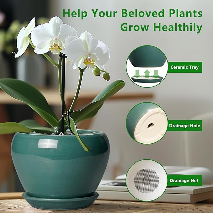 Indoor Plant Pot 6 Inch - Ceramic Planter with Drainage Hole and Saucer, Modern Decorative Indoor Planter for Herb Succulent Plants, Garden Home Decor, Gifts for Plant Lovers, Green Ceramicfor