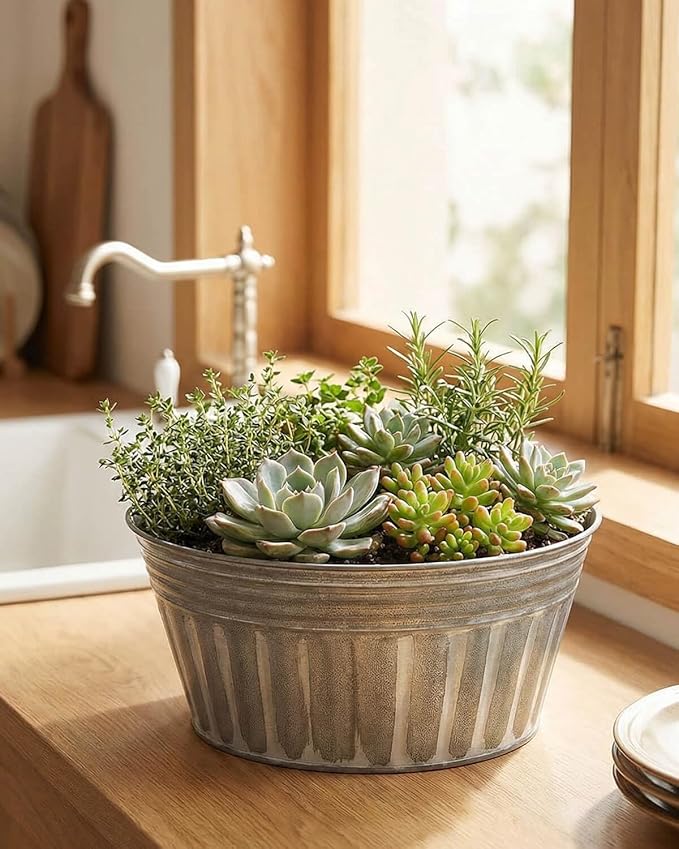 vensovo 10 Inches Silver Metal Rustic Plant Pots - 4 Pcs Large Shallow Galvanized Planters with Drain Hole and Rubber Plug, Rustproof Tin Bucket Succulent Pot Indoor Farmhouse Vintage Style for Decor vensovo