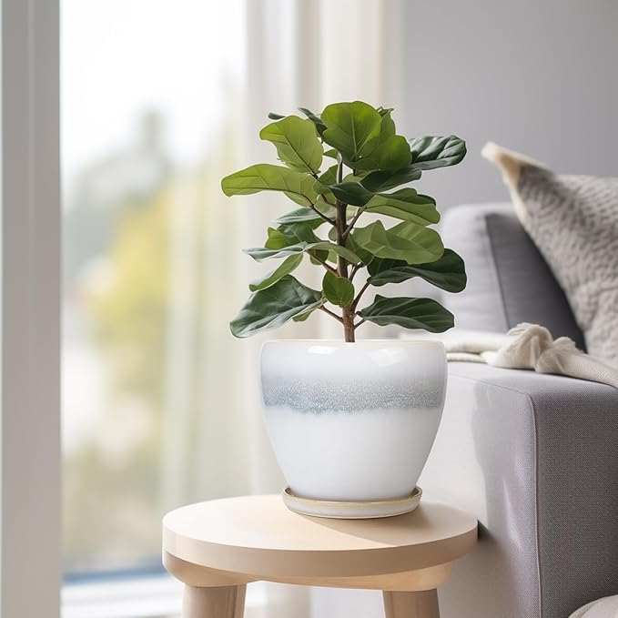 6.3 Inch Plant Pot - Ceramic Planters for Indoor Ourdoor Plants, Modern Succulent Pot, Round Planter with Drainage Hole and Saucer, Room Office Garden Home Decor, Plant Lover Gift, White-Grey EPFamily