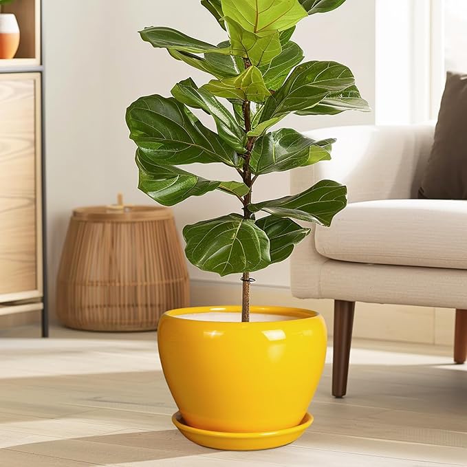 8 Inch Plant Pot - Glaze Modern Round Ceramic Planter for Indoor Outdoor Plants with Drainage Hole and Saucer for Home Patio Room Office Decor, Yellow Ceramicfor