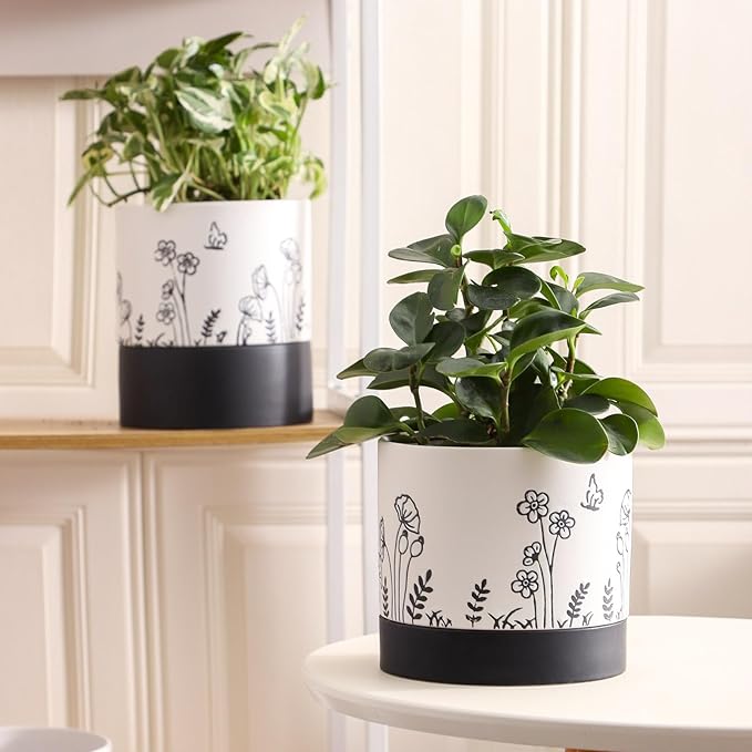 Nihow Ceramic Plant Pot: 6 Inch Planter with Drainage Hole & Saucer for Indoor & Outdoor Plants - Cylinder Round Flower Pot for Succulent/Herbs/Violets - White Nihow