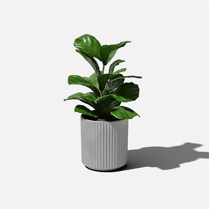 Veradek Demi Series Round Planter for Porch, Patio, Backyard | Durable Plastic-Concrete Material | Modern Décor for Tall Plants, Flowers VeradekOutdoor
