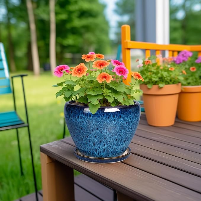 Ceramic Modern Glaze Succulent Planter Pot with Drainage Hole and Saucer 6 Inch Round Flower Plant Pot for Indoor Outdoor Herb Snake Plants Ceramicfor