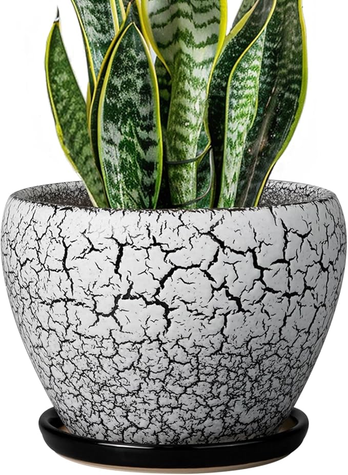 Ceramic Plant Pot 8 Inch - Ceramic Planter for Indoor Plants, Round Flower Pot with Drainage Hole and Saucer, Glaze White and Black Ceramicfor