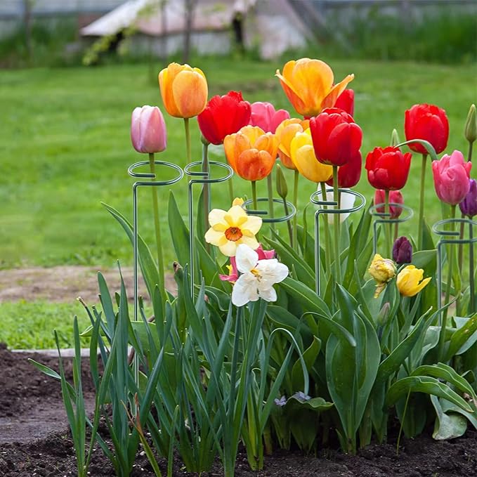 12 Pack 18 Inch Plant Support Stakes, Metal Single stemmed Flower Support Hoops，Garden Plant Stakes Plant Prop for Amaryllis Orchid Lily Rose Peony Tomatoes Gladiolus ThealynGardens