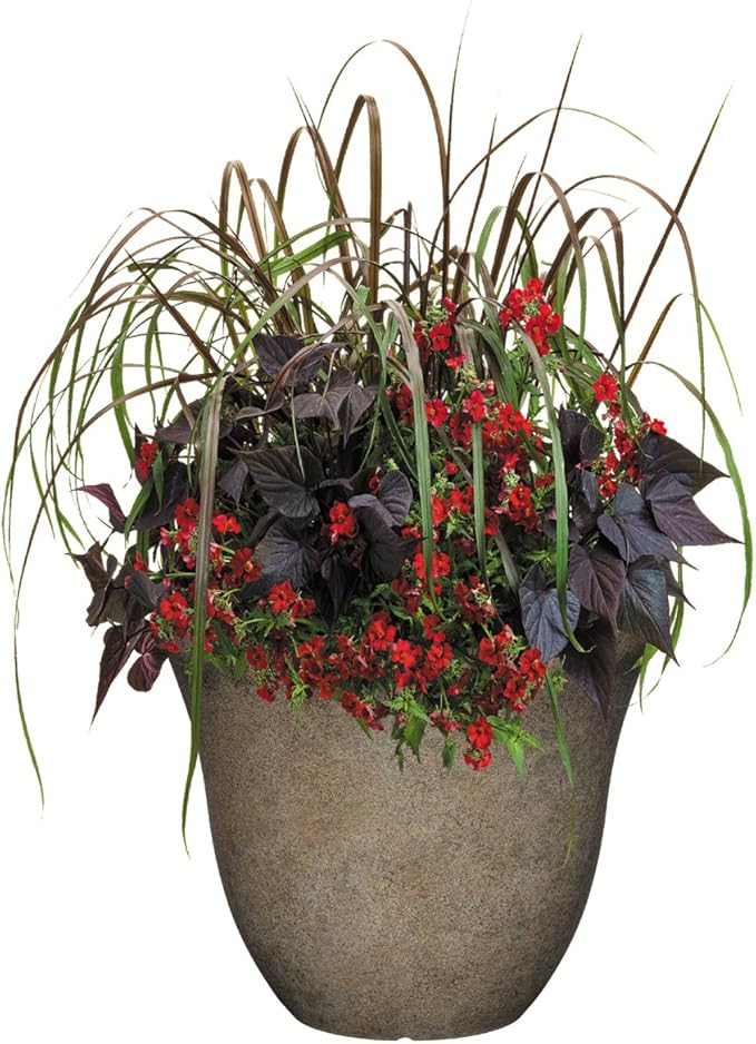 Classic Home and Garden Honeysuckle Resin Flower Pot Planter, Fossil Stone, 15" (Pack of 2) ClassicHomeandGarden