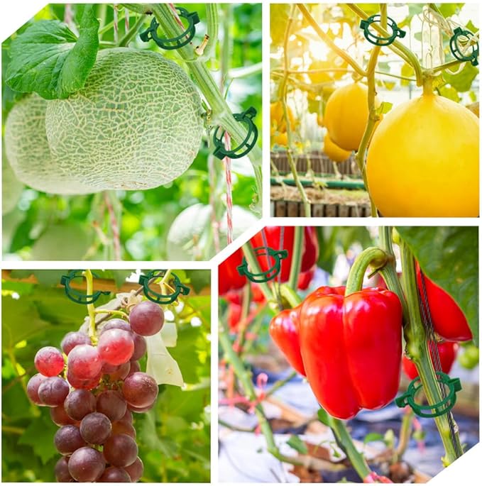 200 Pcs Plant Support Tomato Clips, Garden Clips, Crop Clips for Vine Vegetables, Fixing Tomato, Sweet Pepper, Eggplant, Makes Plants Grow Upright and Healthier（Green） PEOUWNES
