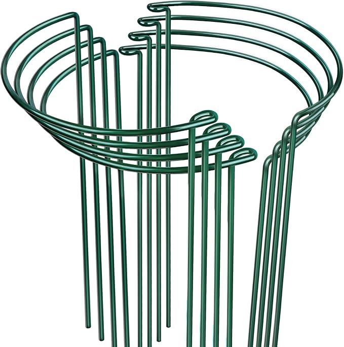 LEOBRO Plant Support, 8PCS Peony Cages and Supports, Plant Stakes for Indoor Plants, Outdoor Plants, Plant Holders, Tomato Monstera Hydrangea Support Cage, 10" W x 15.8" H LEOBRO
