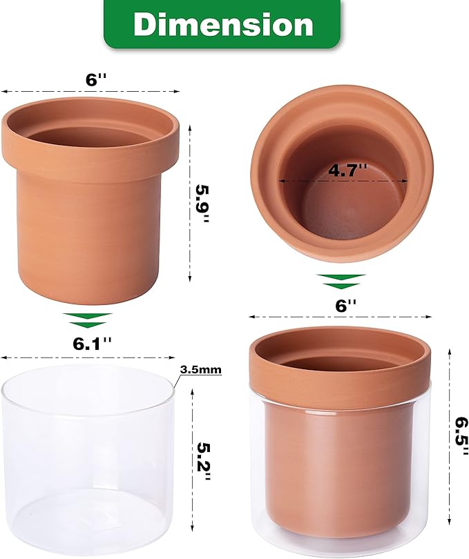 Phoenix Vine 6 Inch Self Watering Planter Pot, Terracotta Clay Pot with Glass Reservoir for Indoor Plants, Herbs, Flowers, Set of 2, 52-A-F-2 Phoenix+Vine