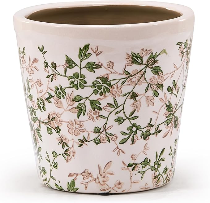 Ceramic Planter with Drainage Hole, Plastic Tray & Mesh, 6 Inch - Indoor/Outdoor Flower Pot for Orchids, Succulents, Green Floral Modern Farmhouse Décor for Home,Office and Garden, Ideal Gift TEWEIQI