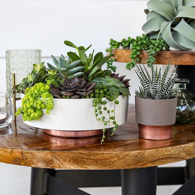 The HC Companies 6 Inch Round Plastic Succulent Capri Bowl 6"x6"x2.25" in Faux Concrete Color TheHCCompanies