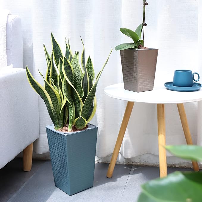 2 Pack Self Watering Planters 10.7" x 6.9" Planter for Indoor Plants Self Watering Violet Pots Plastic Flower Pots Square Planter with a Bag of Clay Pebbles, Blue Planterhoma