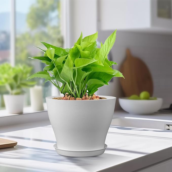 6 inch Plastic Nursery Pots, 16 Pack Plant Pots for Small Indoor Outdoor Plants, Flower Pots with Drainage Holes and Saucers, Decorative Seedling Starter Planters for House Plants, White Meowell