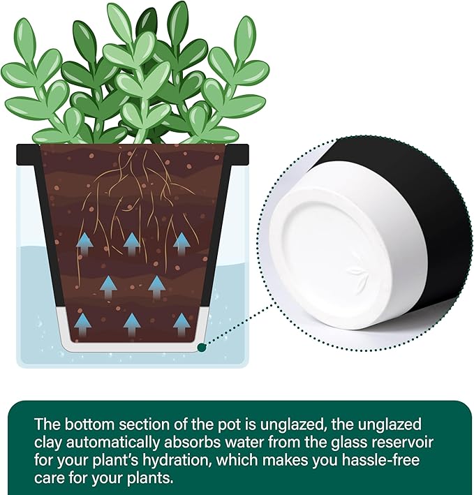 D'vine Dev 4 Inch Design Self Watering Planter for Indoor Plants, Black Terracotta Pot with Cylinder Glass Cup, 37-X-A-3 DvineDevPlanterPotsandStand
