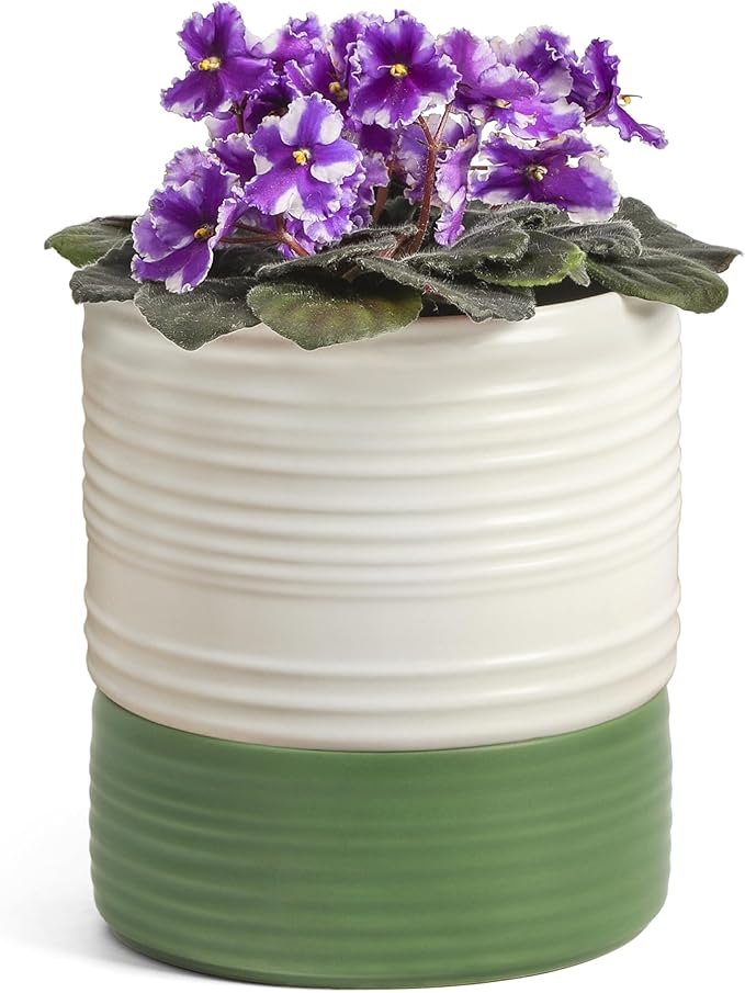 Self Watering Pots for Indoor Plants, 6 Inch Ceramic Self Watering Plant Pot, Planter Pot with Wick Rope and Drainage Hole for African Violet Succulent Herbs (White Matte) FayoulasGarden