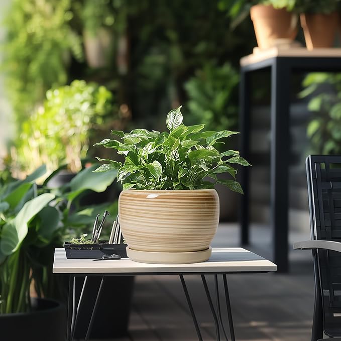 SQOWL Ceramic Planter- 8 Inch Plant Pot Indoor Outdoor, Round Planter with Drainage Hole and Plant Saucer, Decorative Modern Ceramic Flower Pot, Living Room Decor, Garden Gifts, Yellow SQOWL