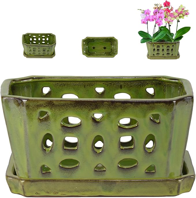 W&W Orchid Pot with Holes and Saucer for Repotting, YellowGreen, 9.7 Inch WWHomeDecor