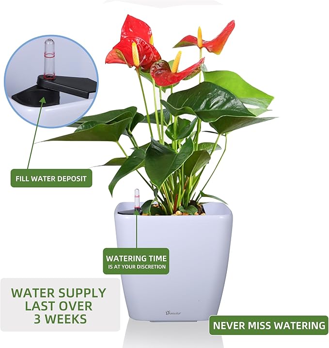 Dexceder 9x8 Self Watering Planter Indoor Outdoor, Inner Mat Design, Thickened Table Flower Plant Pot with Water Level Indicator (White High Gloss) Dexceder