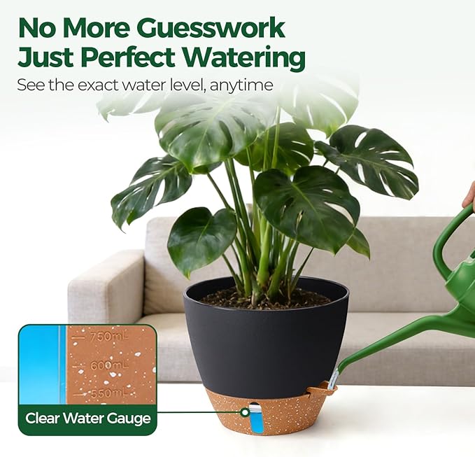 2 Pack 10 Inch Self Watering Pots - Water Level Indicator & Deep Reservoir, Mess-Free Planter for Busy People, Beginners & Gardeners, Fiddle Leaf Fig, Monstera, ZZ Plants, Indoor Outdoor Use (Black) T4U