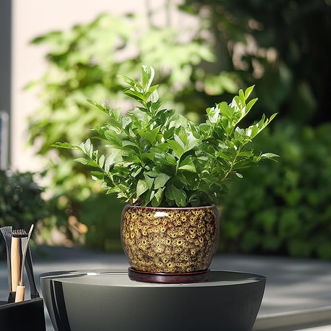 SQOWL 6 Inch Plant Pot - Ceramic Flower Pots with Drainage Hole and Saucer, Ceramic Planter for Indoor Plants Outdoor, Round Decorative Small Planter, Table Desk Decor, Housewarming Gifts, Yellow SQOWL