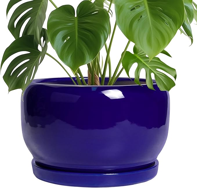 SQOWL Ceramic Plant Pot - 10 Inch Ceramic Planter for Indoor Outdoor, Round Flower Pot with Drainage Hole and Saucer, Modern Decorative Large Planter, Garden Decor, Plant Lover Gifts, Blue SQOWL