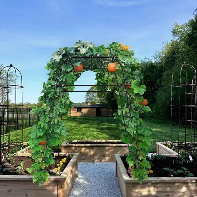Garden Arch Plant Trellis for Climbing Plants Outdoor, Cucumber Trellis for Raised Bed, Grape Metal,Arbor Trellis Plant Support Flower Vegetables,Tomato Black,6.7FT Rust-Proof AlisisFores